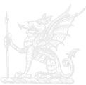 The Fire Dragon