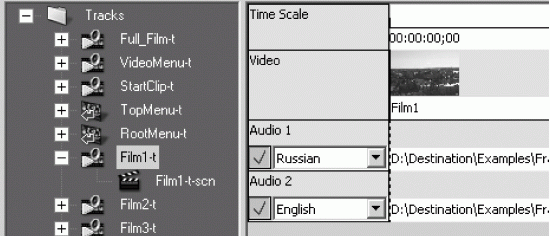 Профессиональный авторинг DVD