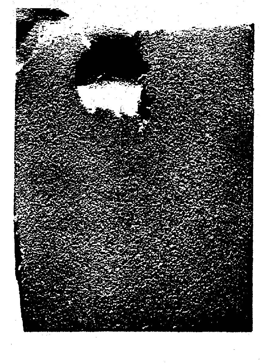 Melting and Crystallization of Metals and Alloys