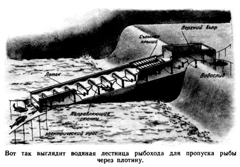 Путешествие в Завтра