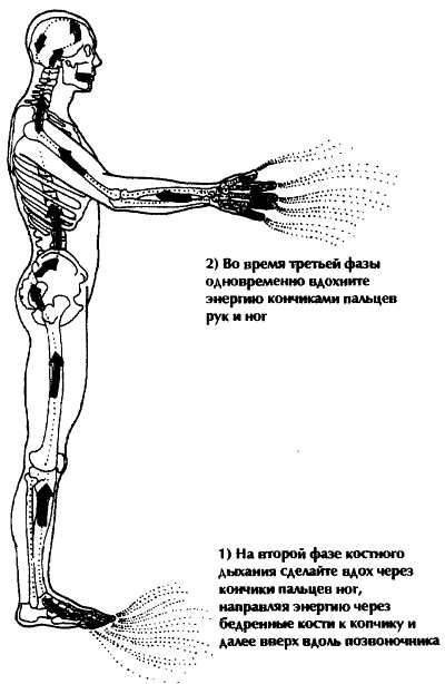 Нейгун - искусство омоложения организма