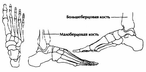 Нейгун - искусство омоложения организма