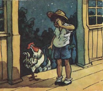 Огурцы