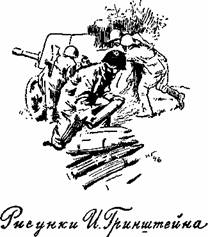 Сын полка