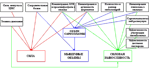 Думай! Или 'Супертренинг' без заблуждений