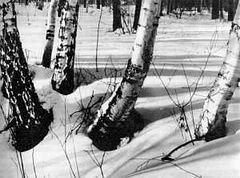 Беседы о фотомастерстве