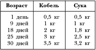 Немецкая овчарка