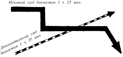 Собаки от А до Я