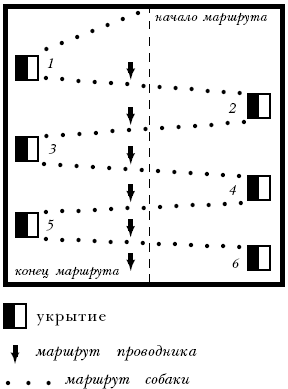 Собаки от А до Я