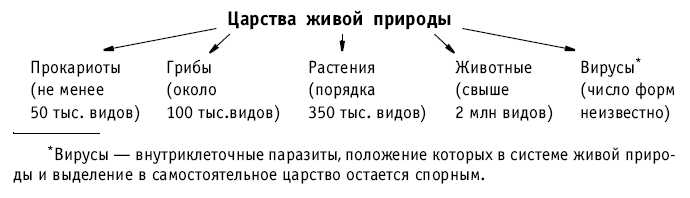 Тематическое и поурочное планирование по биологии. 7 класс