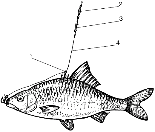 Большая книга рыболова -любителя (с цветной вкладкой)