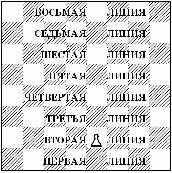 Шахматы для самых маленьких