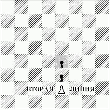 Шахматы для самых маленьких