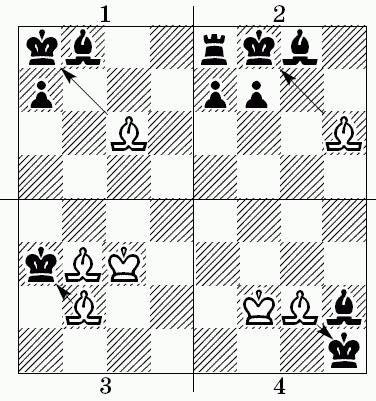 Шахматы для самых маленьких