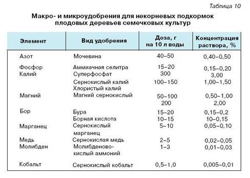 Как вырастить саженцы