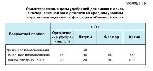 Как вырастить саженцы