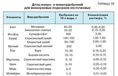 Как вырастить саженцы